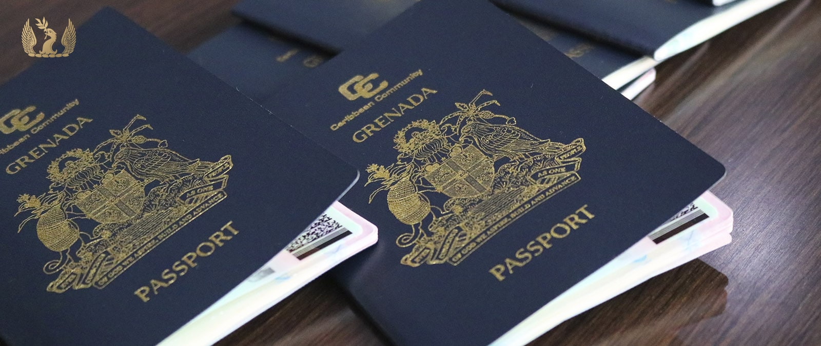 Grenada passport allows visa-free and visa-on-arrival travel to 120+ countries.