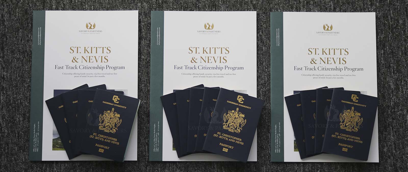 You can get the citizenship and passport of St Kitts and Nevis in exchange for a donation of USD150,000 or by real estate investment of at least USD200,000
