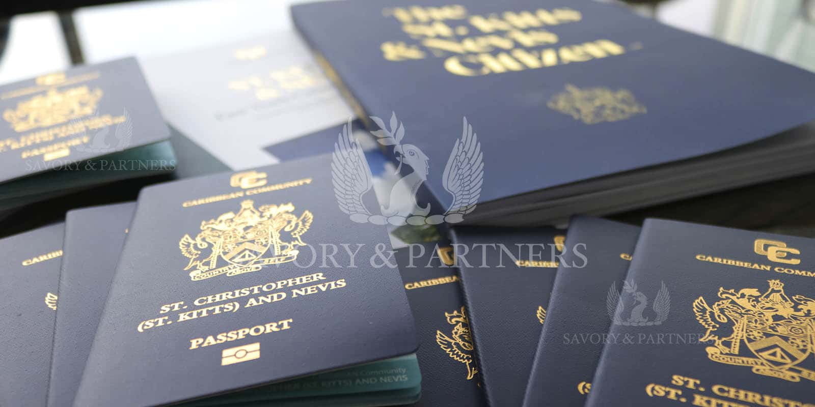 St Kitts and Nevis passports for a family group.