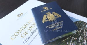 Why Should High-Net-Worth Individuals Apply for Commonwealth of Dominica Citizenship by Investment?