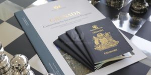 Second Citizenship & US Visas: How to Obtain an E-2 Investor Visa Through Grenada Citizenship by Investment