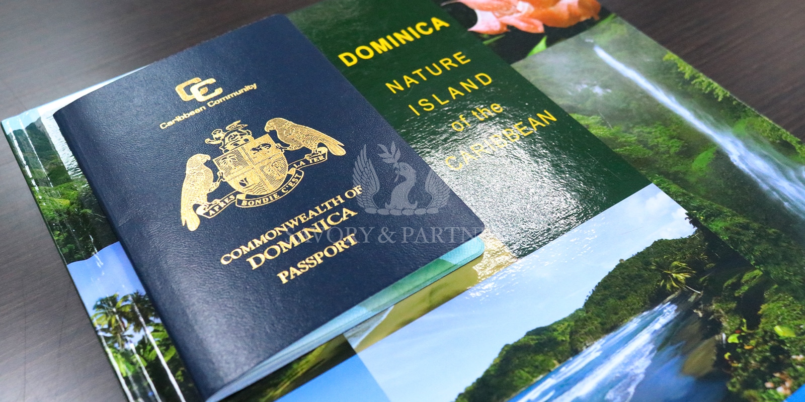 Dominica Passport - Savory & Partners - Dubai, UAE