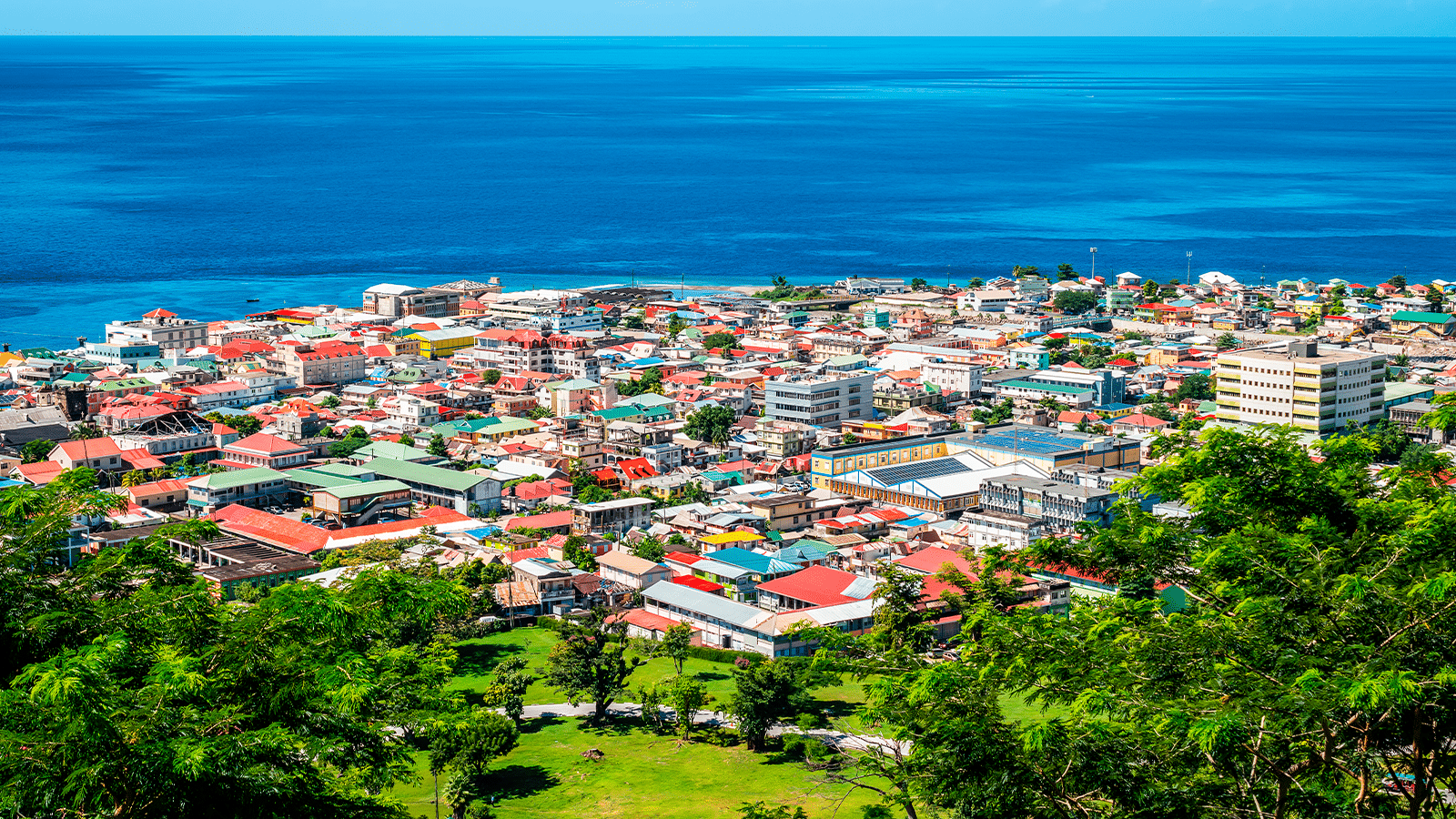 Dominica citizenship by investment program - Savory and Partners