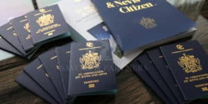 Applying for a Second Passport as a Large Family: All You Need to Know