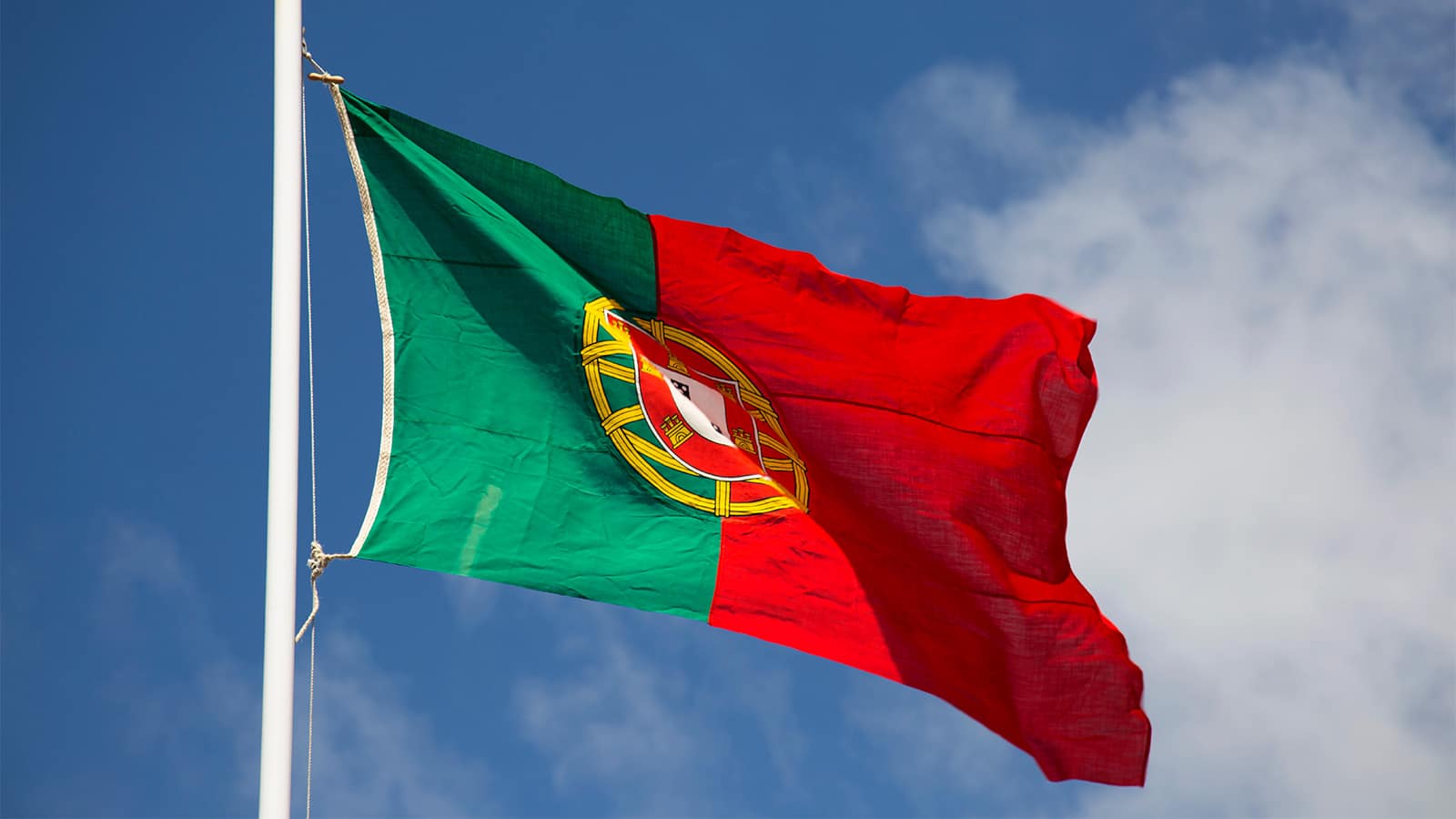 Business Migration - Portugal’s D2 Visa - Savory and Partners